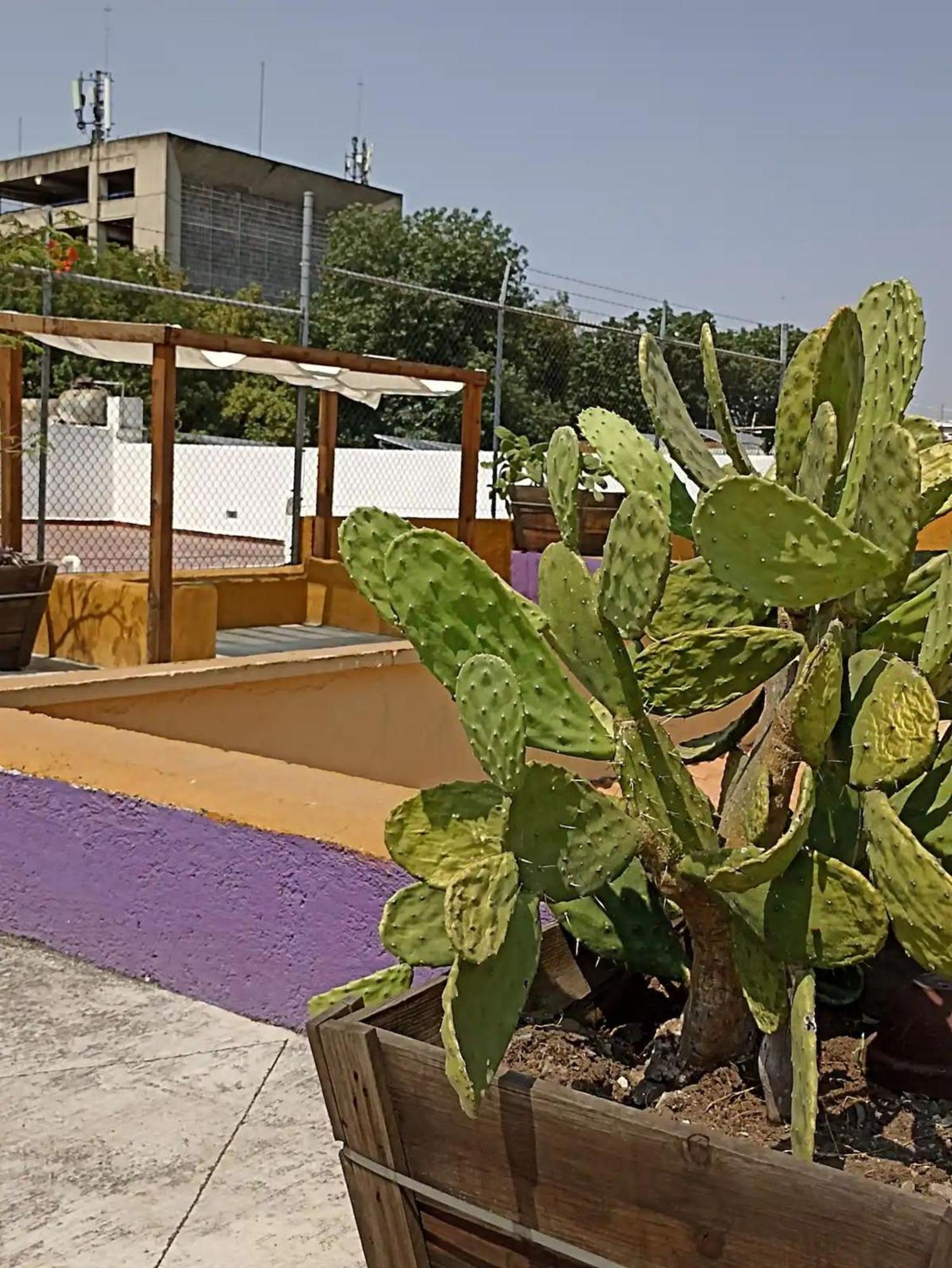1 Guadalajara Corazon Del Centro Historico Hospedate En Una Casa Antigua En Una Habitacion Sencilla Con Areas Comunes Y Banos Compartidas Zewnętrze zdjęcie